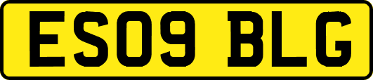 ES09BLG