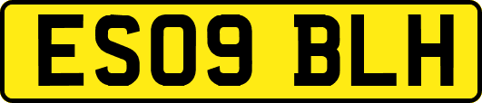 ES09BLH