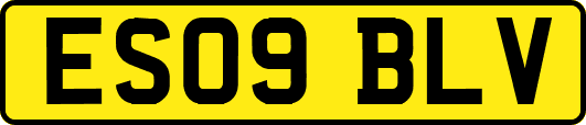 ES09BLV