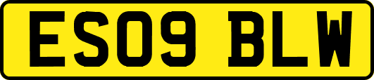 ES09BLW