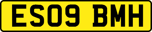 ES09BMH