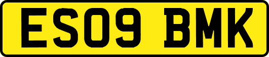 ES09BMK