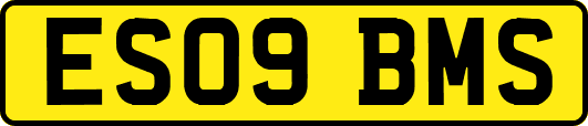 ES09BMS