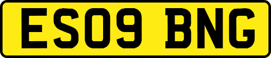 ES09BNG