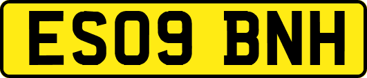 ES09BNH