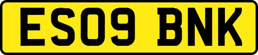 ES09BNK