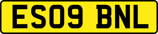 ES09BNL