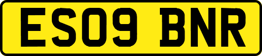 ES09BNR