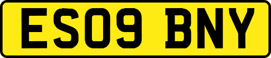 ES09BNY