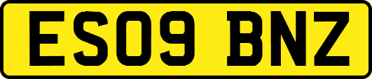 ES09BNZ