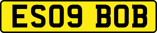 ES09BOB
