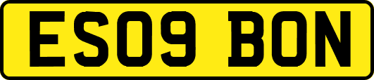 ES09BON