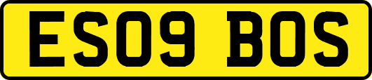 ES09BOS