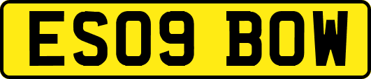 ES09BOW