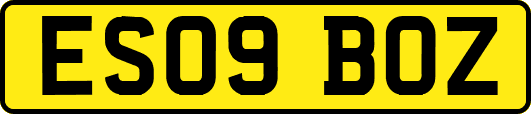 ES09BOZ