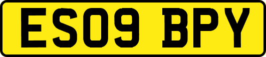 ES09BPY