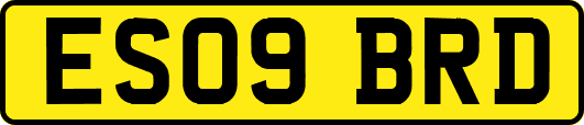 ES09BRD