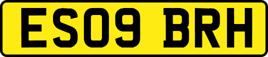 ES09BRH
