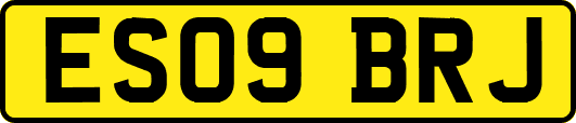 ES09BRJ