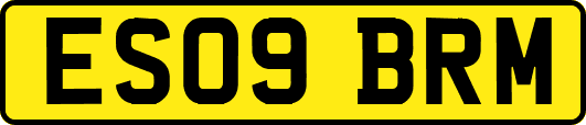 ES09BRM
