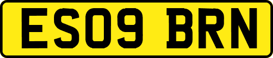 ES09BRN