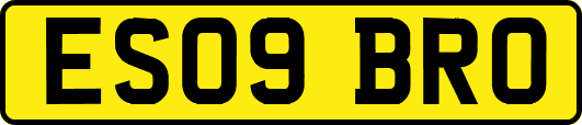 ES09BRO