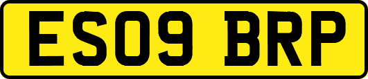 ES09BRP