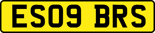 ES09BRS