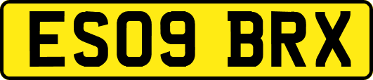 ES09BRX
