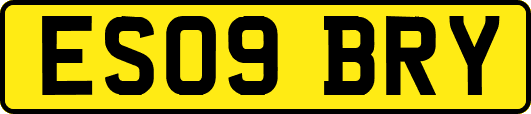 ES09BRY