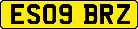 ES09BRZ