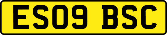 ES09BSC