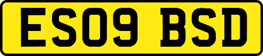 ES09BSD