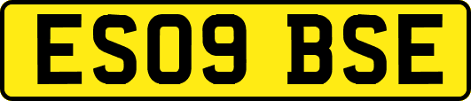 ES09BSE