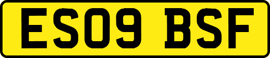 ES09BSF