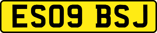 ES09BSJ