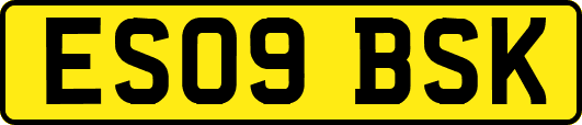 ES09BSK