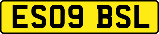 ES09BSL