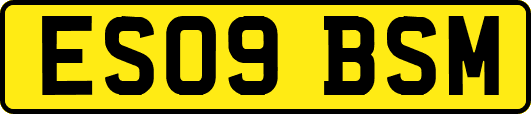 ES09BSM