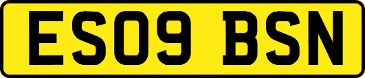 ES09BSN