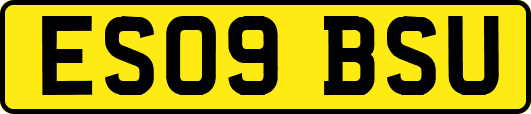 ES09BSU