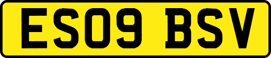 ES09BSV