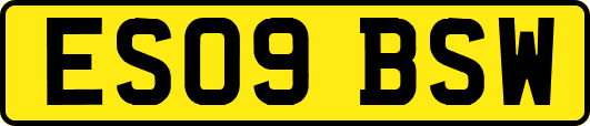 ES09BSW