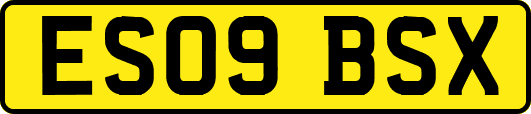 ES09BSX
