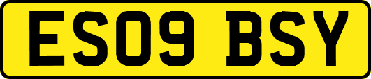 ES09BSY
