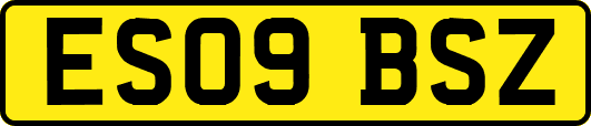 ES09BSZ