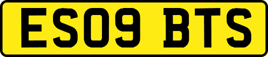 ES09BTS