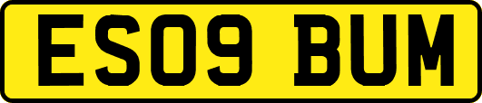 ES09BUM