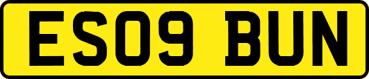 ES09BUN