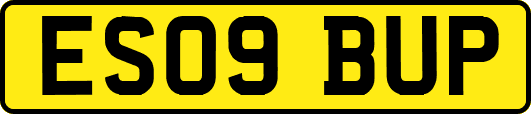 ES09BUP